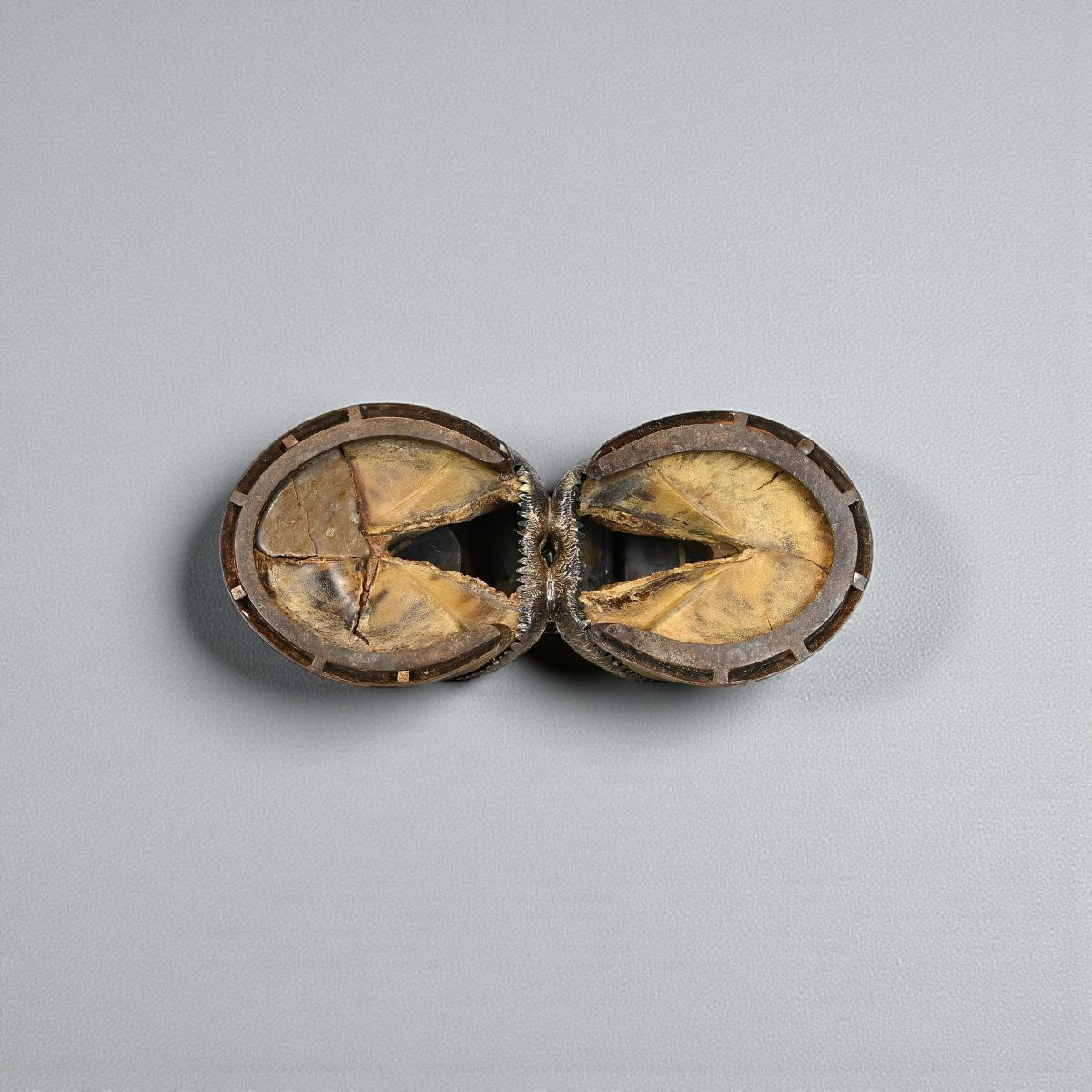 Portafiammiferi In Argento Sterling - Inghilterra - Periodo Vittoriano-photo-4